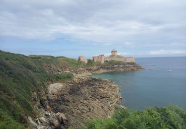 Percorso Marcia Plévenon - Cap Fréhel et Fort la Latte 5.7.23 - Photo