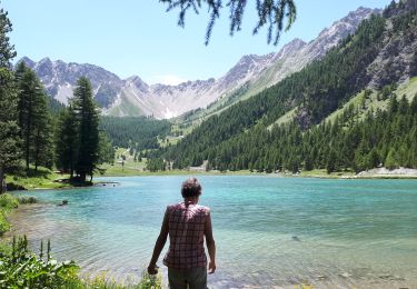 Trail Walking Villar-Saint-Pancrace - 190628orceyrette - Photo