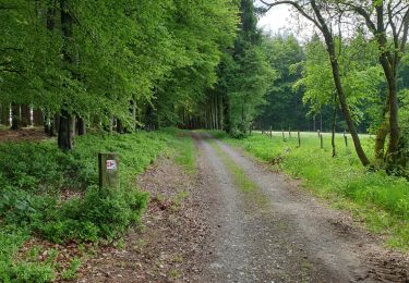 Tocht Mountainbike Gouvy - randonnée vtt - Photo