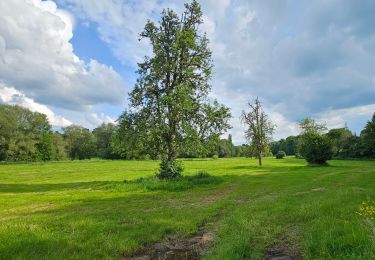 Trail Walking Blegny - A travers la campagne blegnytoise 🥾 - Photo