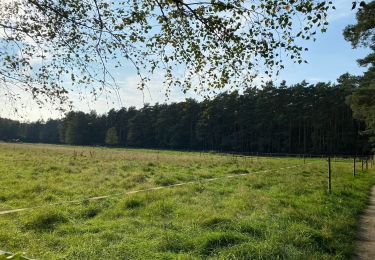 Tour Wandern Oud-Heverlee - Vaalbeek - Forêt de Meerdal - Photo