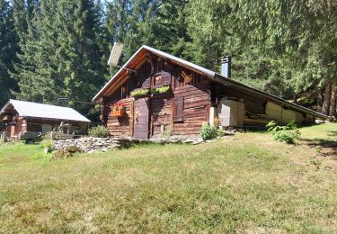 Tocht Stappen Les Contamines-Montjoie - conda4 - Photo