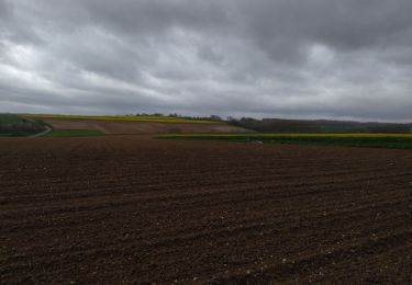 Trail Walking Pihem -  rando du Lion - Photo