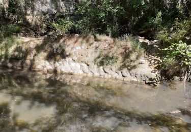 Tour Wandern Lussas - Le canyon de la Louyre - Photo