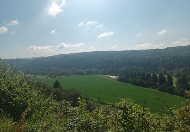 Excursión Bici de montaña Comblain-au-Pont - 28 juillet 24 - Photo