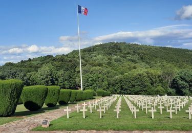 Tour Wandern Wattweiler - tour du Molkenrain - Photo