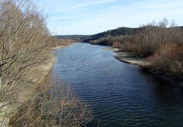 Trail Walking Montauroux - Lac de St Cassien  - Photo