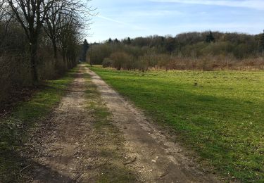 Percorso A piedi  - Residenzweg - Photo