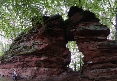 Percorso A piedi Gossersweiler-Stein - Rundwanderweg 26 Silz - Photo