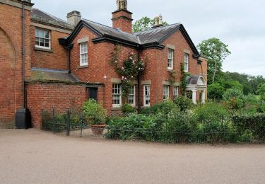 Tocht Te voet  - Attingham Park autumn light walk - Photo