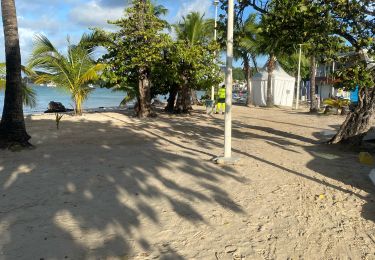 Trail Trail Sainte-Anne - St anne - Photo
