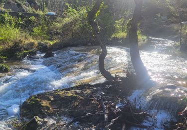 Randonnée Marche Saint-Zacharie - les sources de l'Huveaune  - Photo