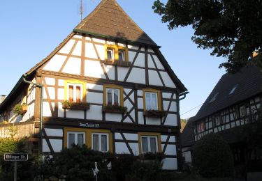 Trail On foot Ettlingen - Weiligquelle - Bahnhof Bruchhausen - Oberweier - Waldsaumhalle - Photo