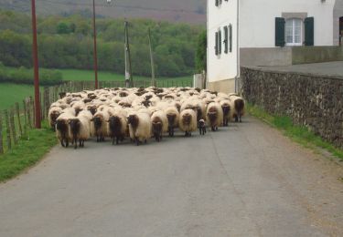 Tocht Stappen Ostabat-Asme - CC_Velay_GC_30_Ostabat-Asme_St-Jean-Pied-Port_20090414 - Photo