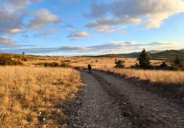 Tour Wandern Florac Trois Rivières - Belvédère du Single/ Condamine  - Photo