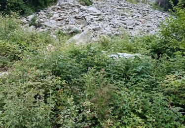 Trail Walking Saint-Rémy-de-Maurienne - roc d'enfer. passage des chèvres et plus  - Photo