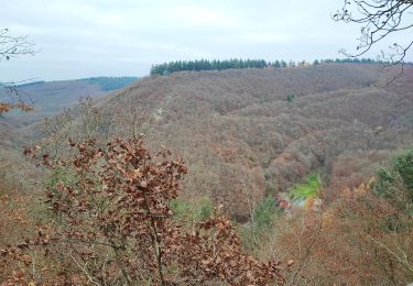 Randonnée A pied Dommershausen - Traumschleifen SaarHunsrück Baybachklamm - Photo