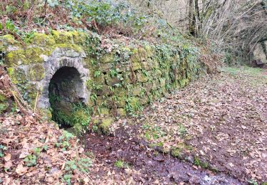 Percorso Marcia Ronchamp - Ronchamp - Chapelle ND du Haut - sentier de l'Etançon (puits de mines) - Photo