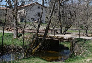 Excursión A pie Saillant - Le Creux-de-l'Oulette - Photo