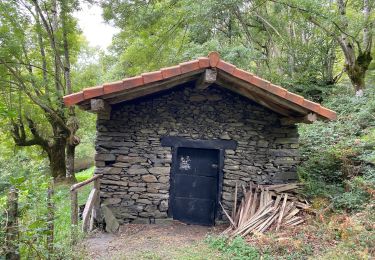Tour Wandern Urrotz - Circuit jaune lac de Leurtza - Photo