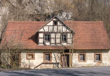 Tour Zu Fuß Hollfeld - Hollfeld Rundweg 