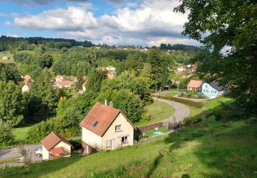 Trail Walking Meisenthal - 220930 Meisenthal 3 km - Photo
