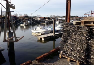 Randonnée Marche Gujan-Mestras - les prés salés EST - Photo