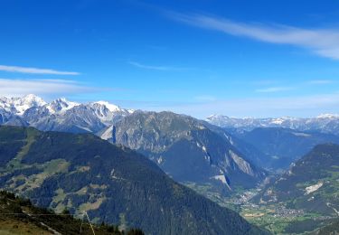 Randonnée Marche Val de Bagnes - La Haute Route : J2 - Photo