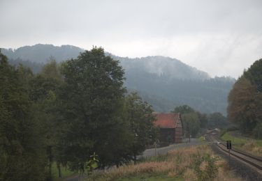 Excursión A pie Gersfeld - Rhön-Rundweg 2 Horstberg - Photo