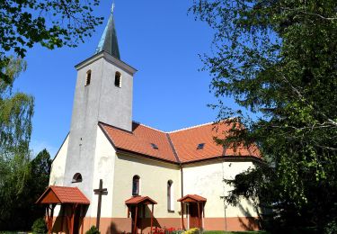 Excursión A pie okres Pezinok - Náučný chodník Majdan - Photo