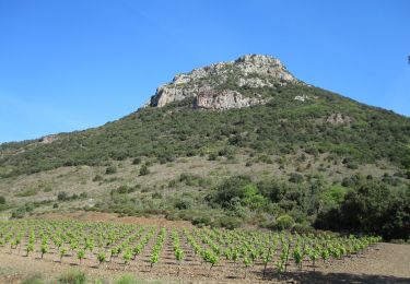 Trail Walking Cabrières - Château de Cabrières et Pic de Vissou - Photo