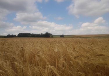 Tour Wandern Gesves - 20190701 Strud - Photo