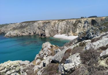 Excursión Senderismo Camaret-sur-Mer - st julien  - Photo