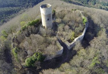 Excursión Paseo ecuestre Gunsbach - Randonnée Equestre Chateaux du Pflixbourg et Hohlandsbourg - Photo