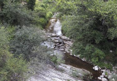 Randonnée Marche Berre-les-Alpes - Berre les Alpes  l'Escarène - Photo