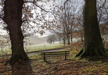 Tocht Te voet Salzhemmendorf - CO4 Pilgerweg - Photo