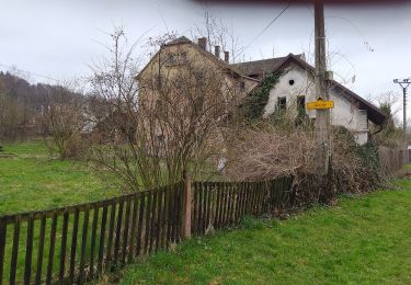 Tour Zu Fuß Ostrau - Velký starobělský okruh - Photo