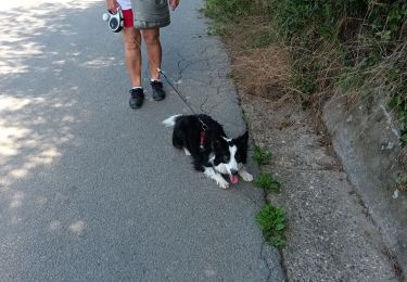 Randonnée Marche Bassenge - bassenge  - Photo