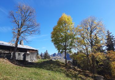 Tour Klettern Le Grand-Bornand - Roc des Tour arrêté Nord ouest - Photo