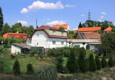 Tour Zu Fuß Mauth - [M] Kamenný Újezd - Pod lesem u Mýta - Photo