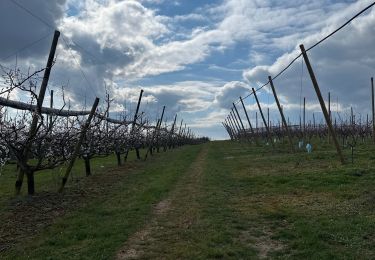 Trail sport Saint-Uze - Rando des potiers St uzes 2025 - Photo