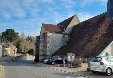 Trail Road bike Paron - 134 SO80 St. Hilaire les Andrésis # Ervauville-01 - Photo