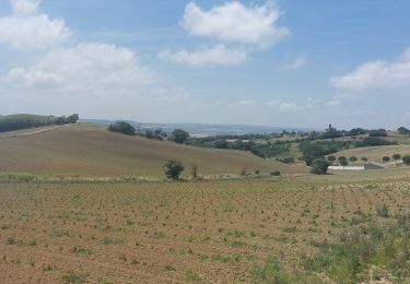 Trail Walking Carcassonne - CC_Piemont_BA_06_Carcassonne_Montreal_20240617 - Photo