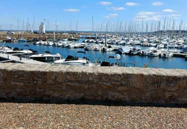 Tour Wandern Piriac-sur-Mer - piriac - Photo