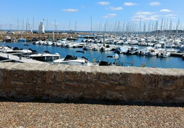 Excursión Senderismo Piriac-sur-Mer - piriac - Photo