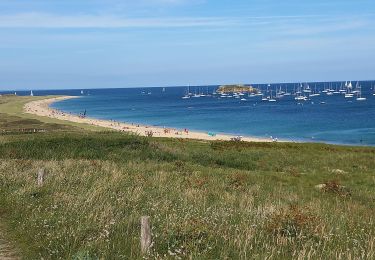 Tocht Stappen Île-d'Houat - île d'ouat - Photo