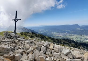 Trail Walking Lans-en-Vercors - pic St Michel - Lans en Vercors - Photo