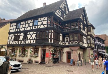 Randonnée Marche Kaysersberg-Vignoble - Kaysersberg Kientzheim  - Photo