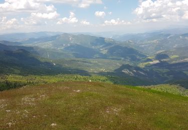 Excursión Senderismo Valdrôme - STATION DE VALDRÔME - MONTAGNE DE L' AUP - Photo