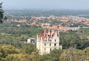 Excursión Senderismo Argelès-sur-Mer - Valmy tour massagne  - Photo